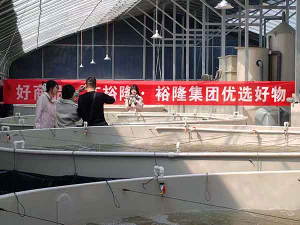 養魚(yú)大棚